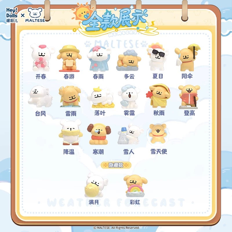 Maltese Weather Forecast Series Mini Bean