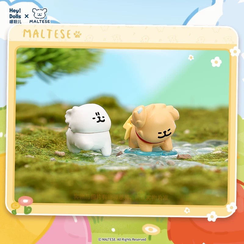 Maltese Weather Forecast Series Mini Bean