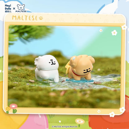 Maltese Weather Forecast Series Mini Bean