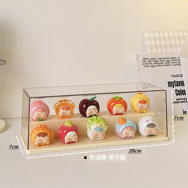 Mini Bean Display Case