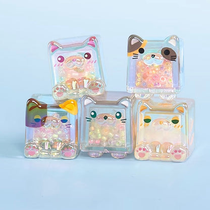 Square Cat Series Blind Bag