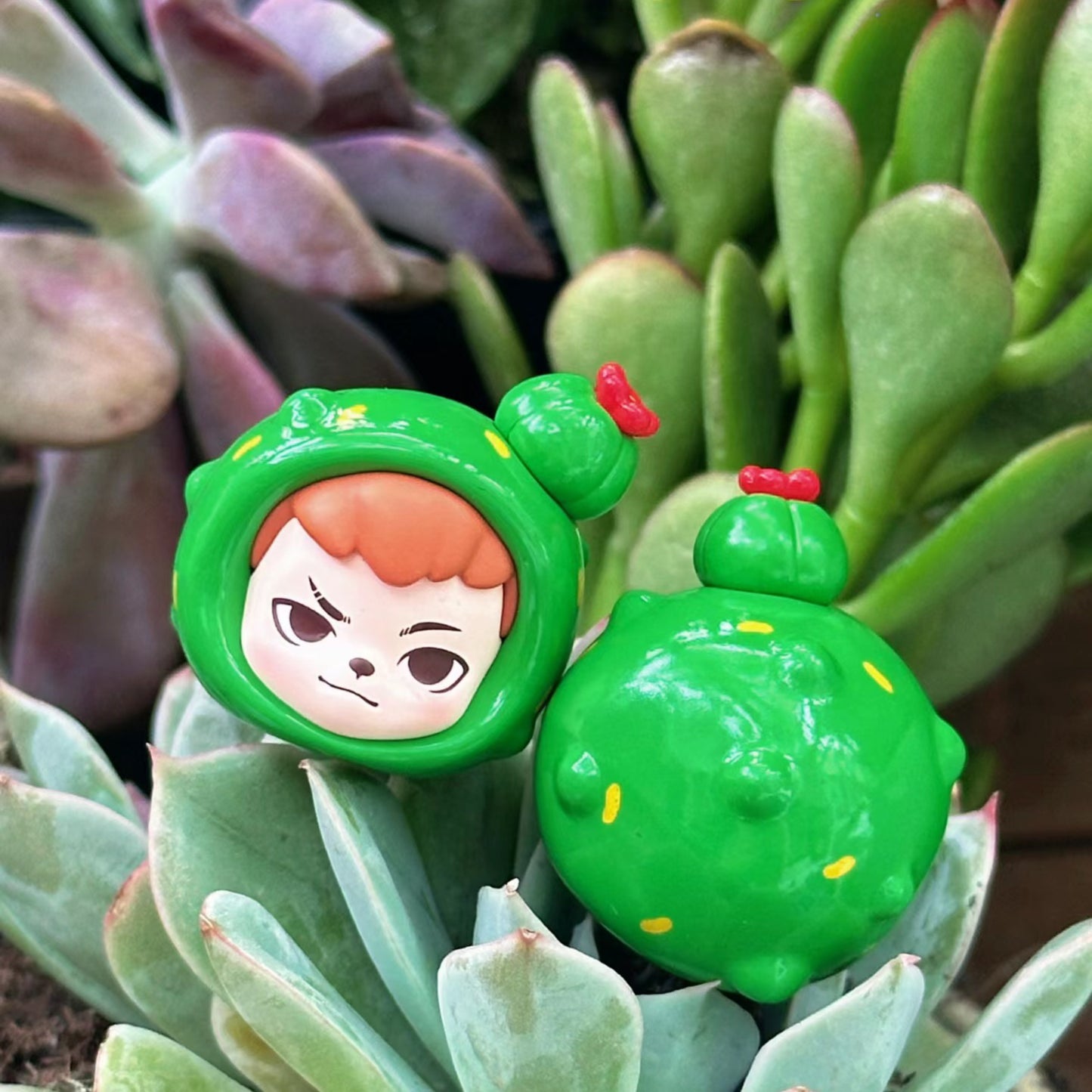 TNT Fun With Plants Series Mini Bean Blind Box