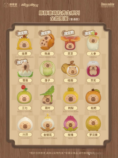 TunTunZai Health Preservation Series Mini Bean Blind Box